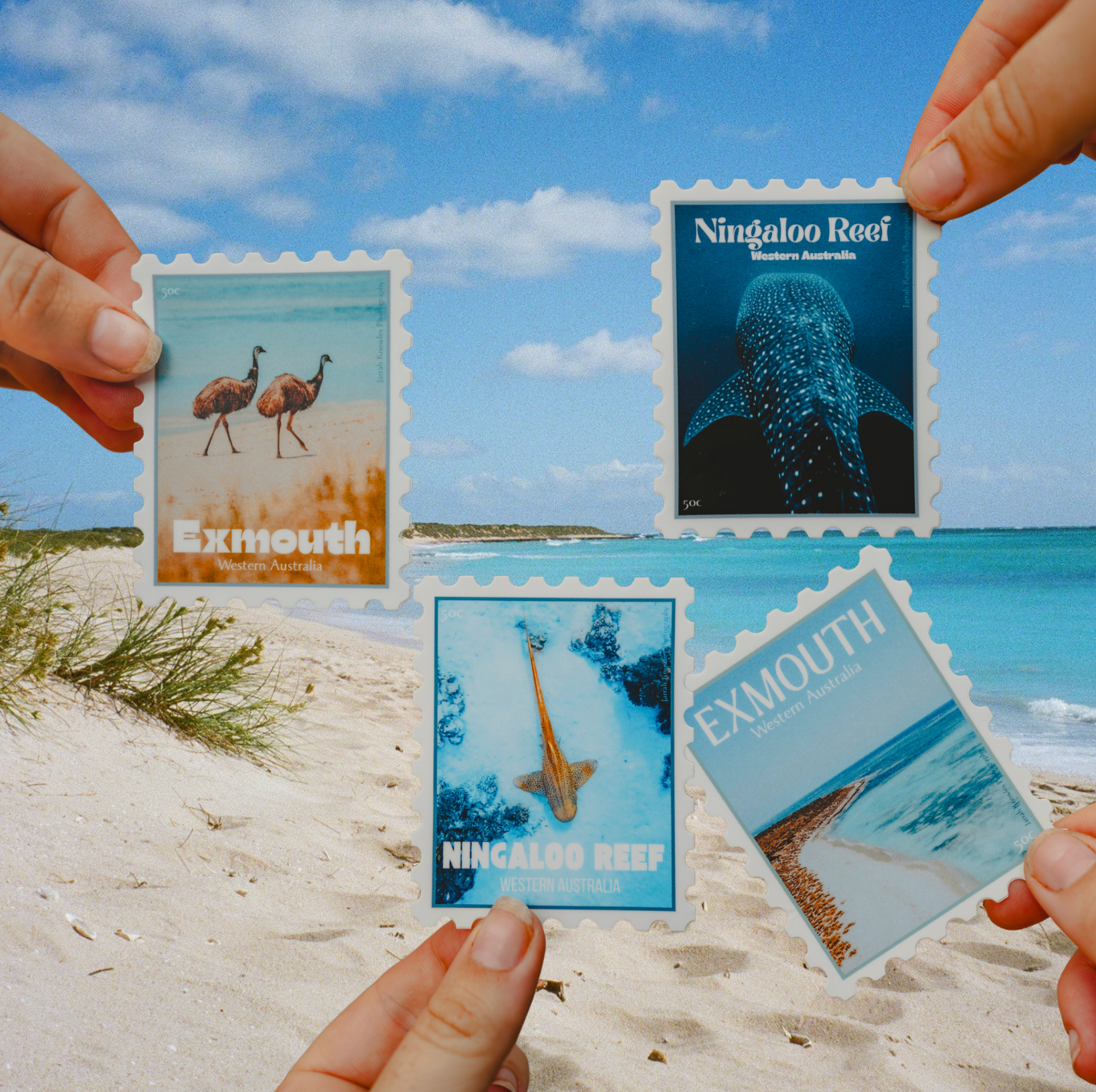 EXMOUTH/ NINGALOO STICKER COLLECTION