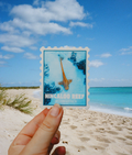Post Stamp Style Leopard Shark Sticker